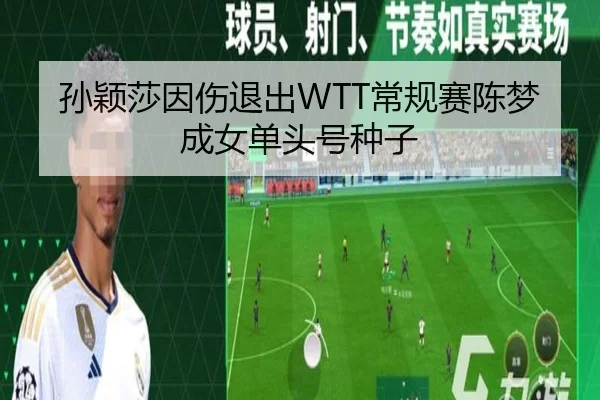 孙颖莎因伤退出WTT常规赛陈梦成女单头号种子