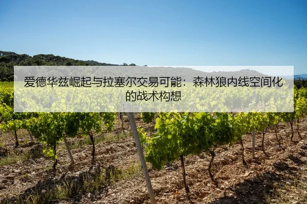 ai-de-hua-zi-jue-qi-yu-la-sai-er-jiao-yi-ke-neng-sen-lin-lang-nei-xian-kong-jian-hua-de-zhan-shu-gou-xiang-3-690.jpg